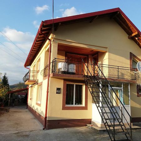 Casa Lidia Si Gogu Hotel Budeasa Mare ภายนอก รูปภาพ