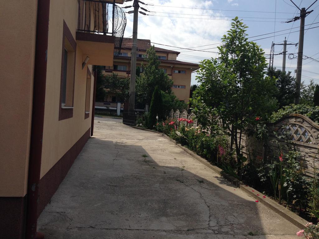Casa Lidia Si Gogu Hotel Budeasa Mare ภายนอก รูปภาพ