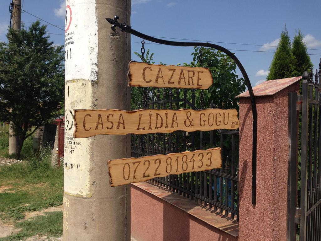 Casa Lidia Si Gogu Hotel Budeasa Mare ภายนอก รูปภาพ