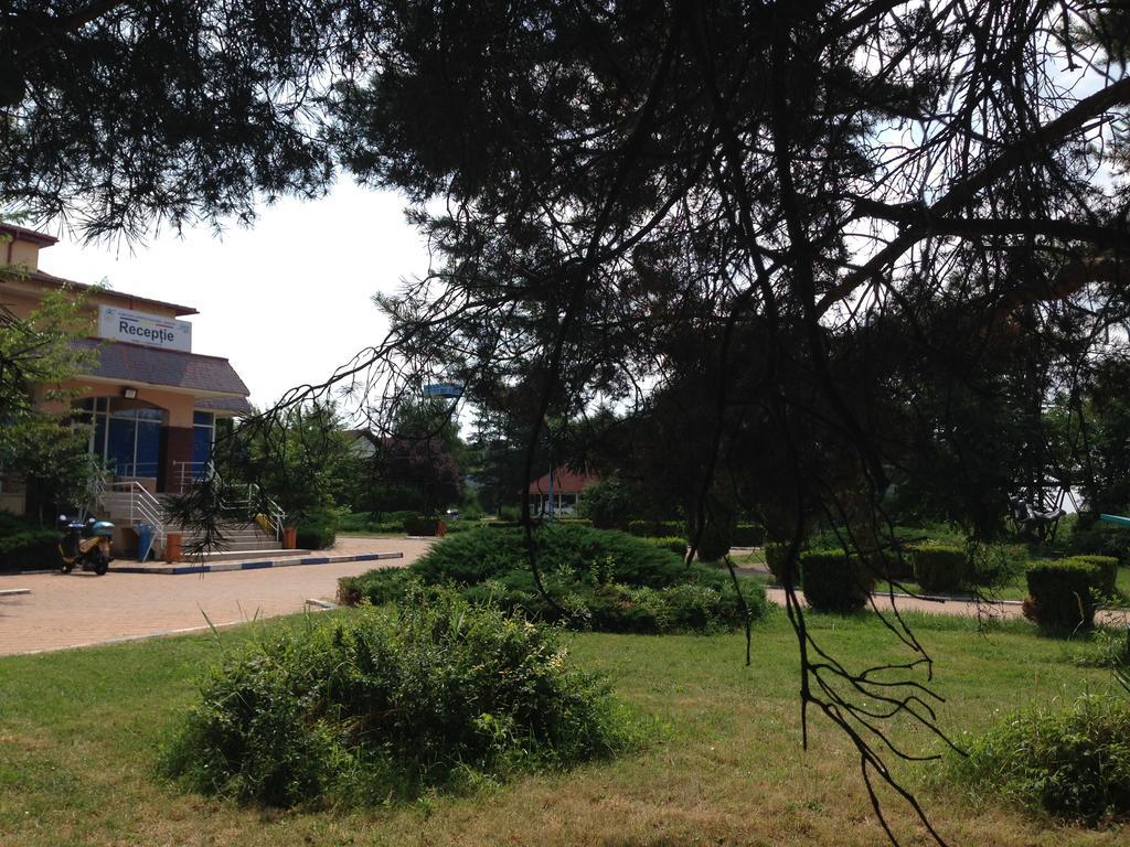 Casa Lidia Si Gogu Hotel Budeasa Mare ภายนอก รูปภาพ