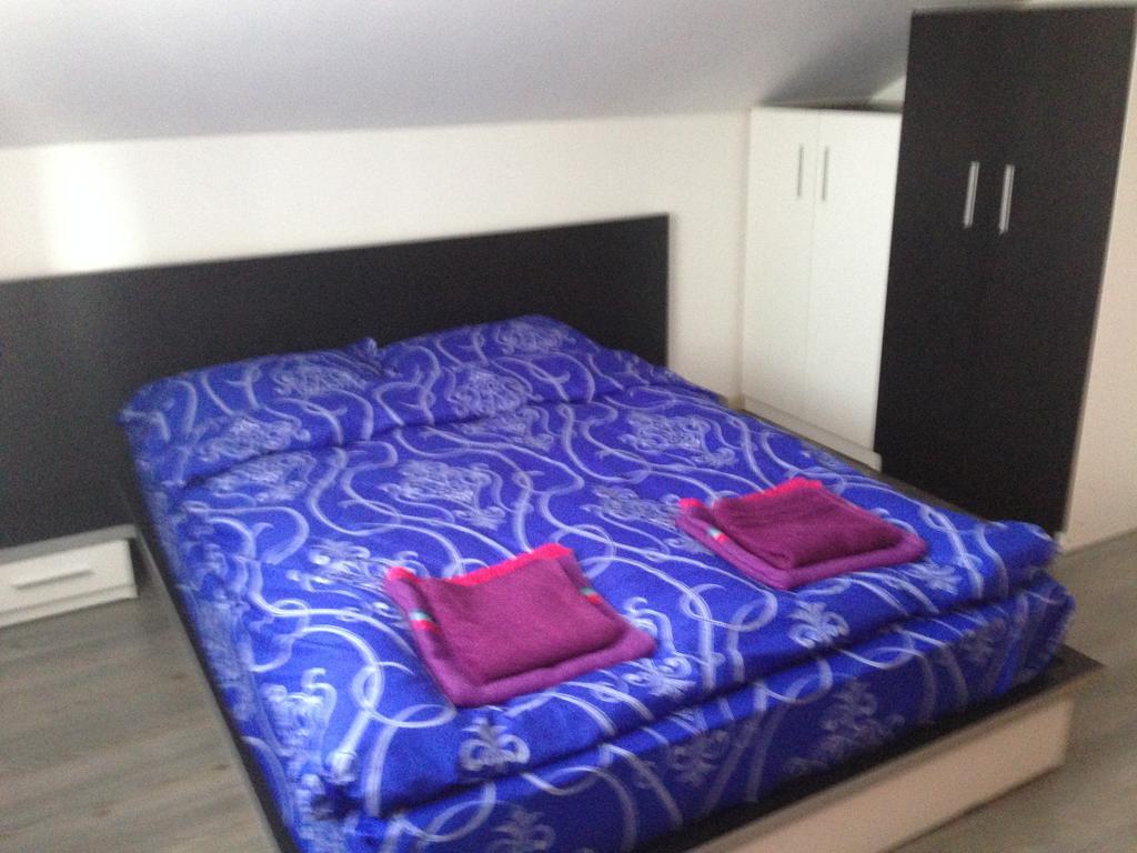 Casa Lidia Si Gogu Hotel Budeasa Mare ภายนอก รูปภาพ