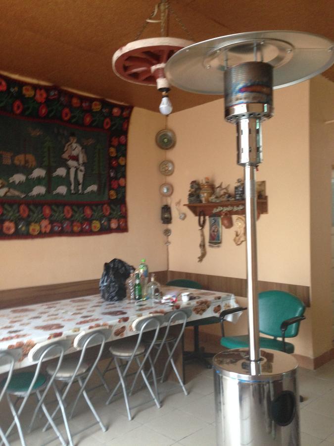 Casa Lidia Si Gogu Hotel Budeasa Mare ภายนอก รูปภาพ