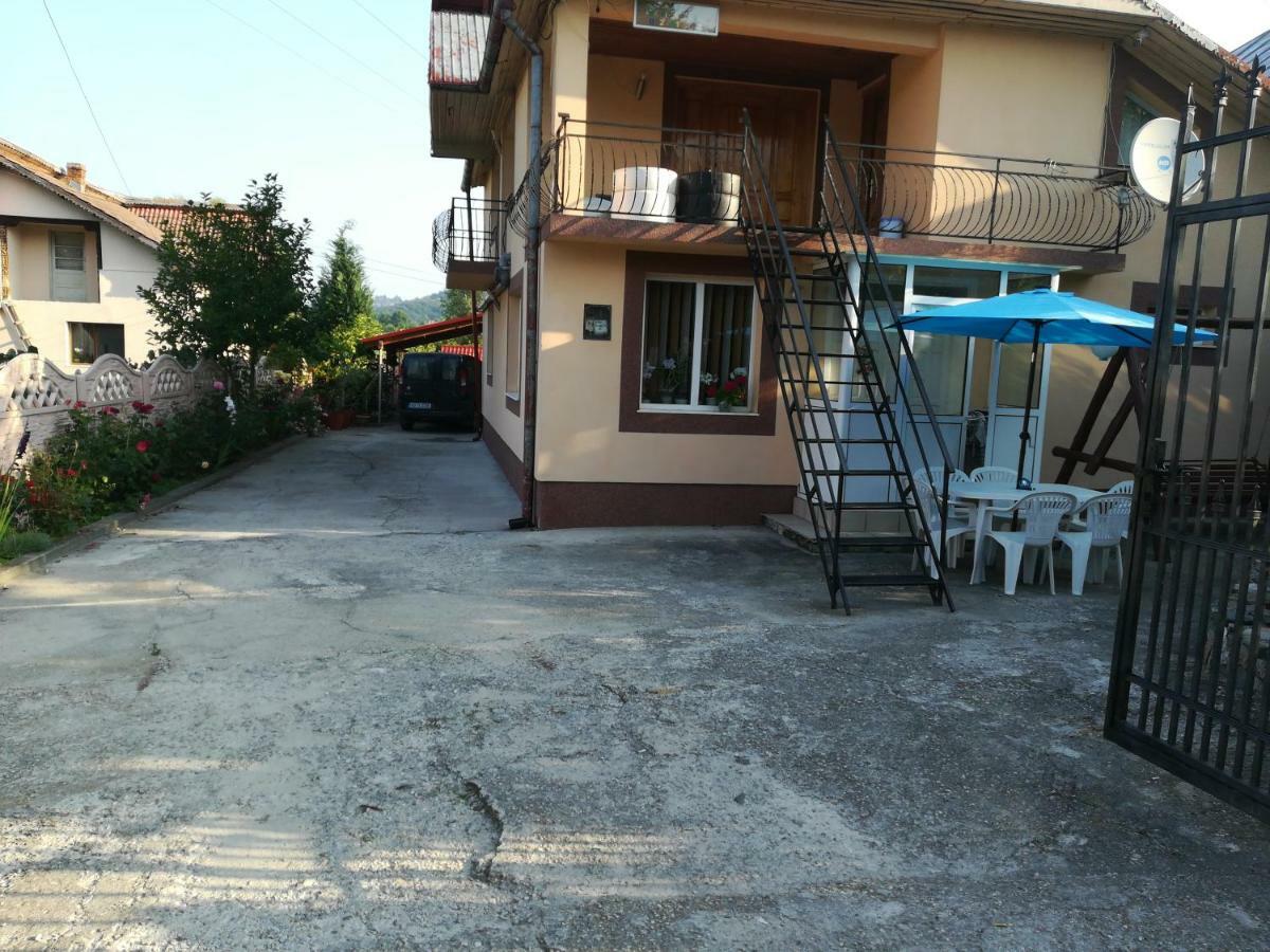 Casa Lidia Si Gogu Hotel Budeasa Mare ภายนอก รูปภาพ