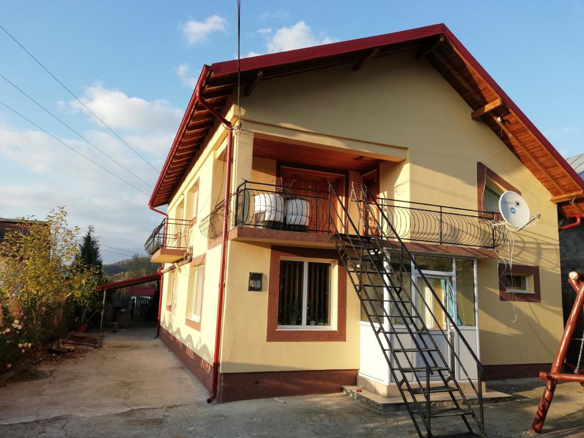 Casa Lidia Si Gogu Hotel Budeasa Mare ภายนอก รูปภาพ
